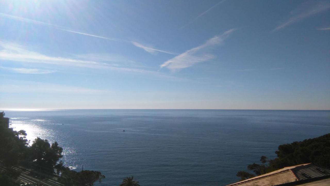 Mare E Vista Portofino - Sea And Portofino View Zoagli Exteriér fotografie