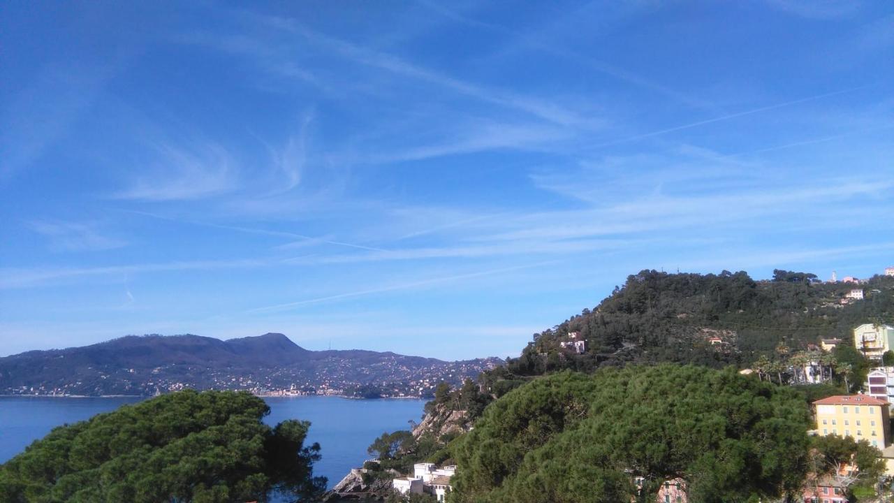 Mare E Vista Portofino - Sea And Portofino View Zoagli Exteriér fotografie
