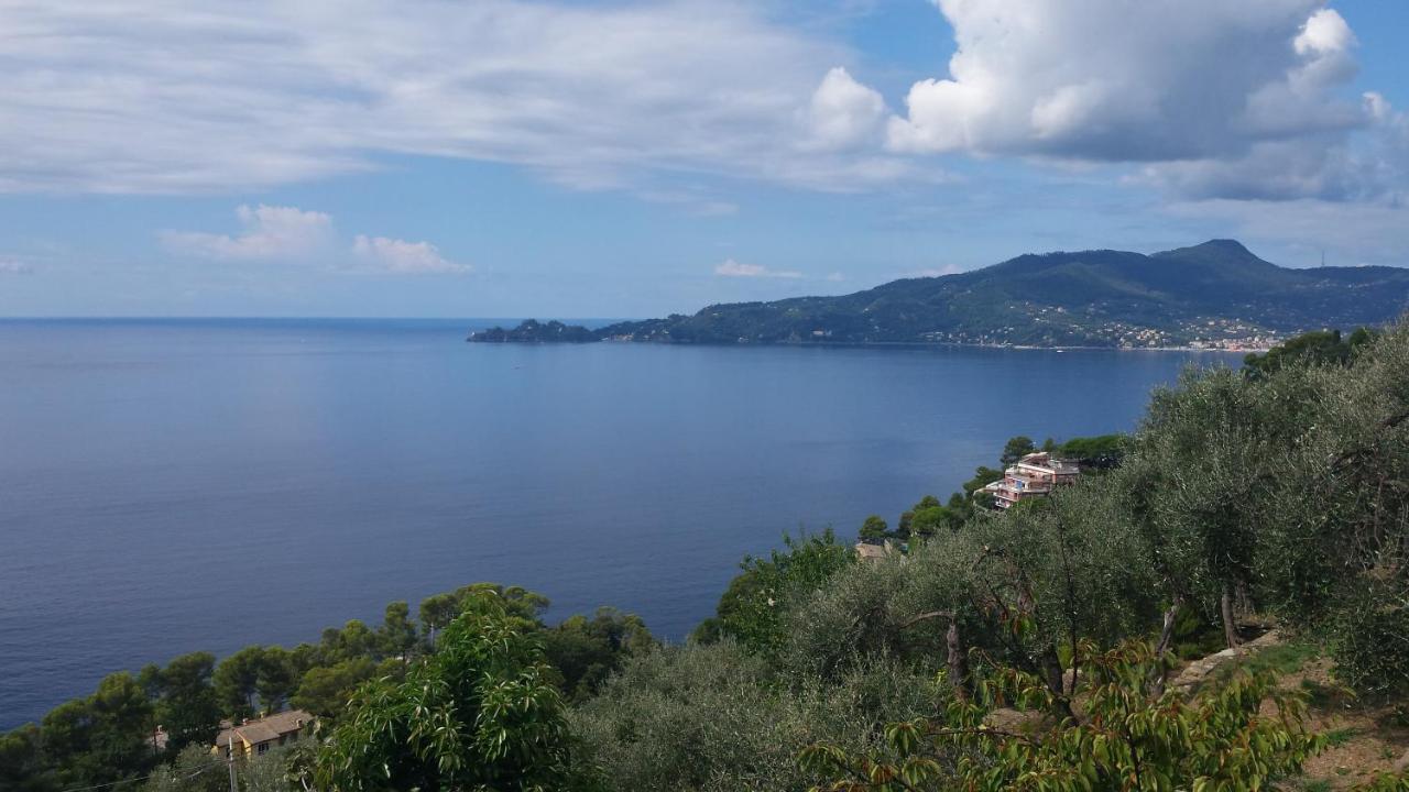 Mare E Vista Portofino - Sea And Portofino View Zoagli Exteriér fotografie