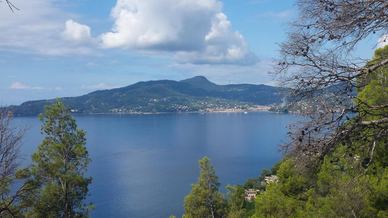 Mare E Vista Portofino - Sea And Portofino View Zoagli Exteriér fotografie