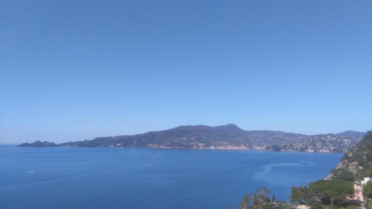 Mare E Vista Portofino - Sea And Portofino View Zoagli Exteriér fotografie