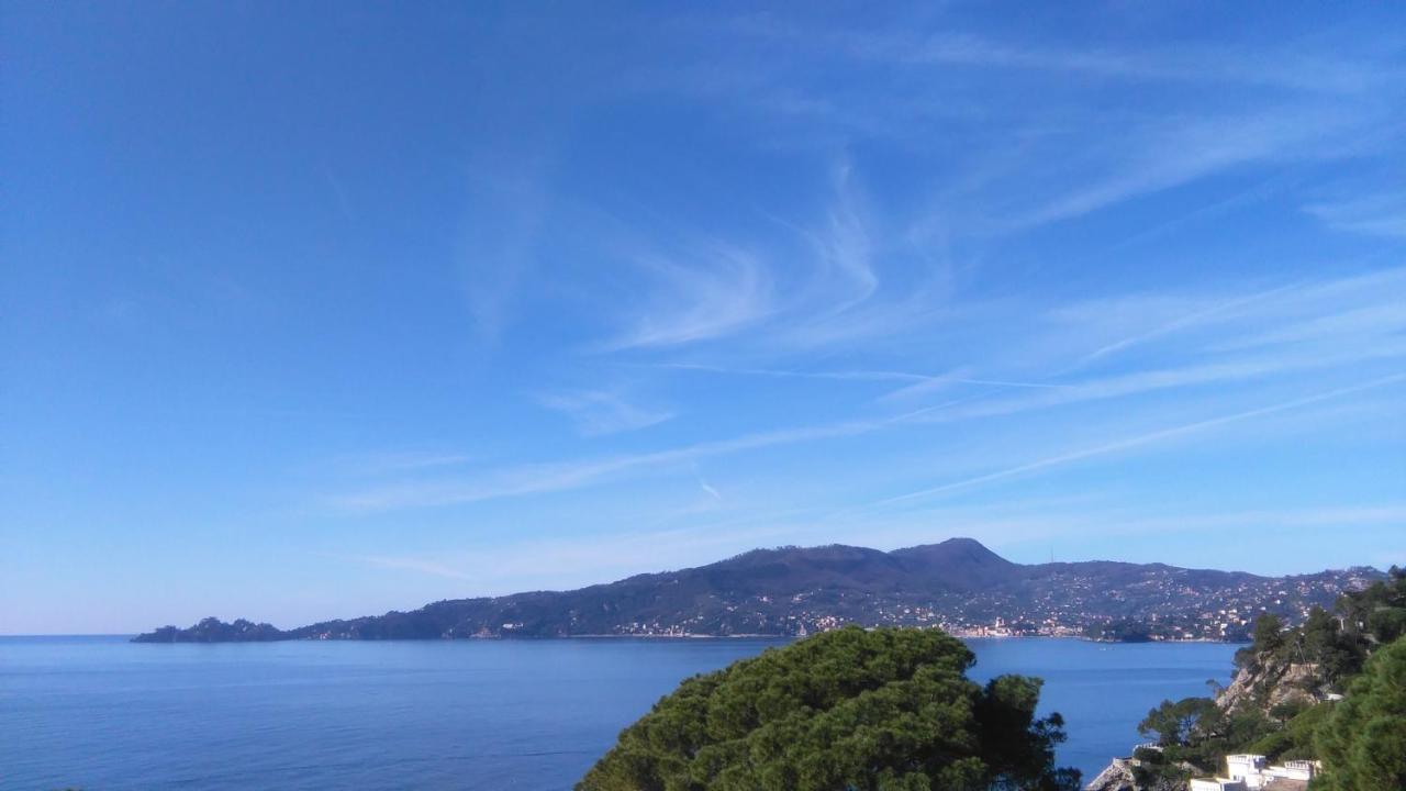 Mare E Vista Portofino - Sea And Portofino View Zoagli Exteriér fotografie