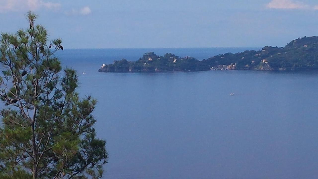 Mare E Vista Portofino - Sea And Portofino View Zoagli Exteriér fotografie